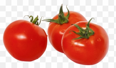 Download Tomato Png Transparent Images