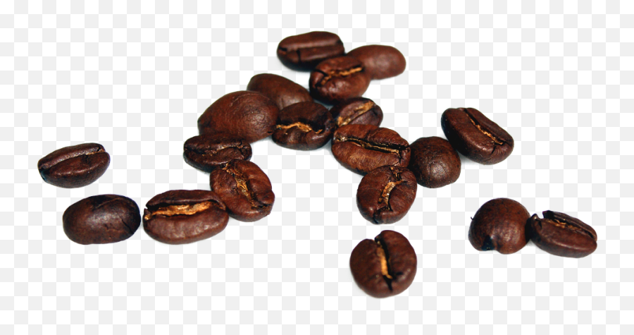 Download Coffee Bean High Resolution Hd Png - Uokplrs High Resolution Coffee Beans,Coffee Beans Png