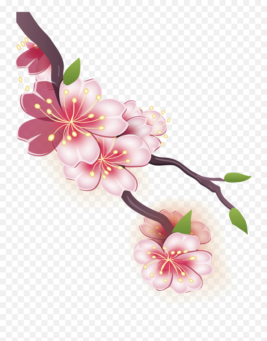 Download Drawn Cherry Blossom Design - Drawing Of Cherry Cherry Blossom Drawing Png,Cherry Blossoms Png
