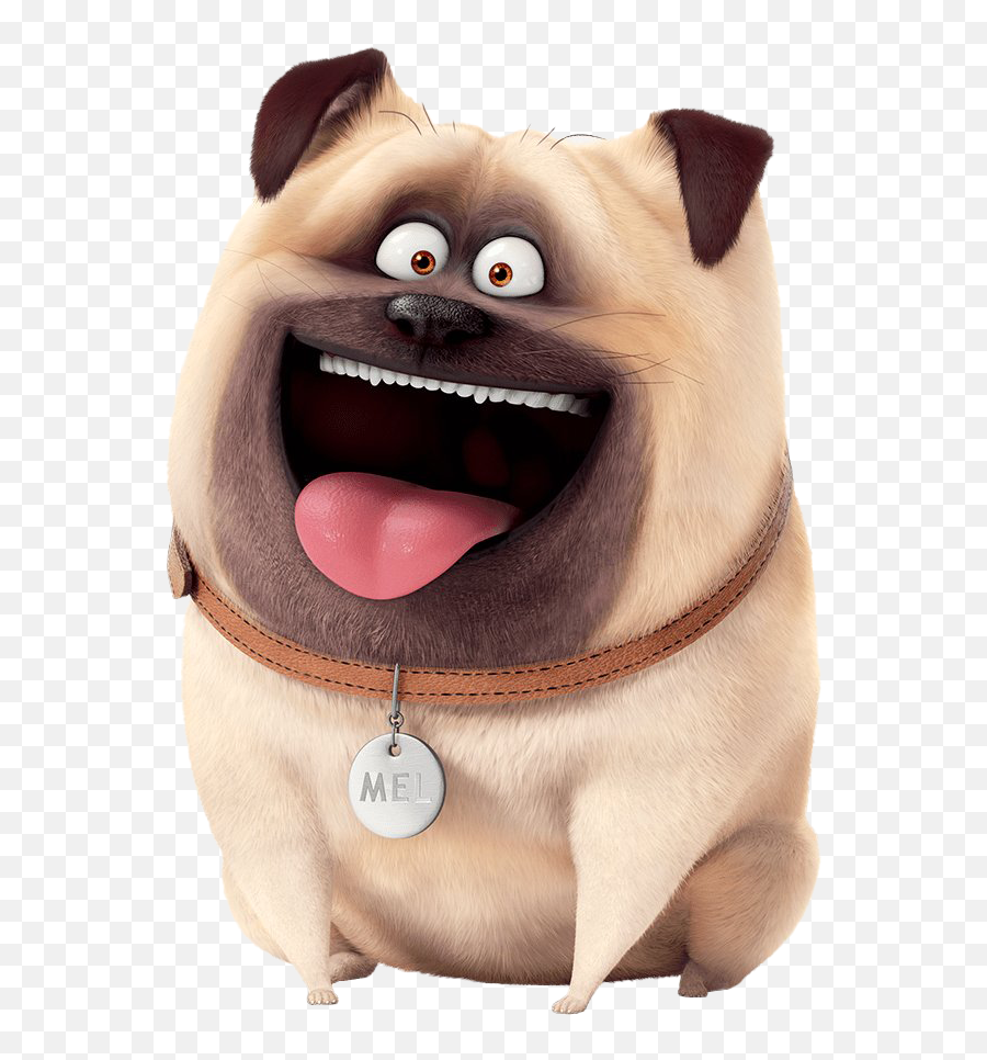 Secret Life Of Pets Mel Transparent Png - Mel Secret Life Of Pets,Pets Png