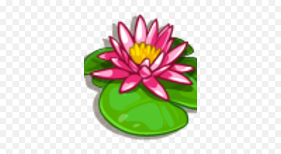 Water Lily - Sacred Lotus Png,Water Lily Png