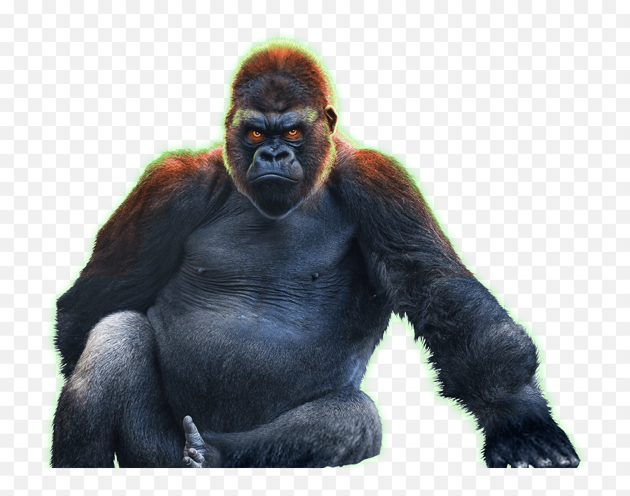 Download Epic Ape - Epic Ape Slot Png,Ape Png