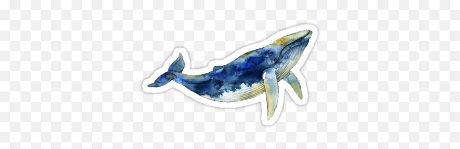 Blue Whaleu0027 Sticker By Kate Vigdis Whale Cute - Blue Whale Sticker Png,Blue Whale Png