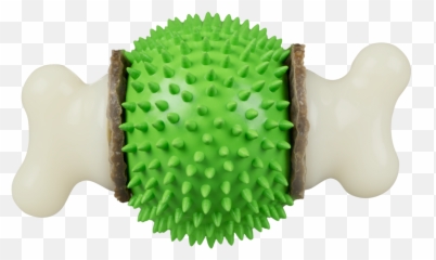 Ring Holding Dog Toy - Dog Chew Toy Png,Dog Toy Png
