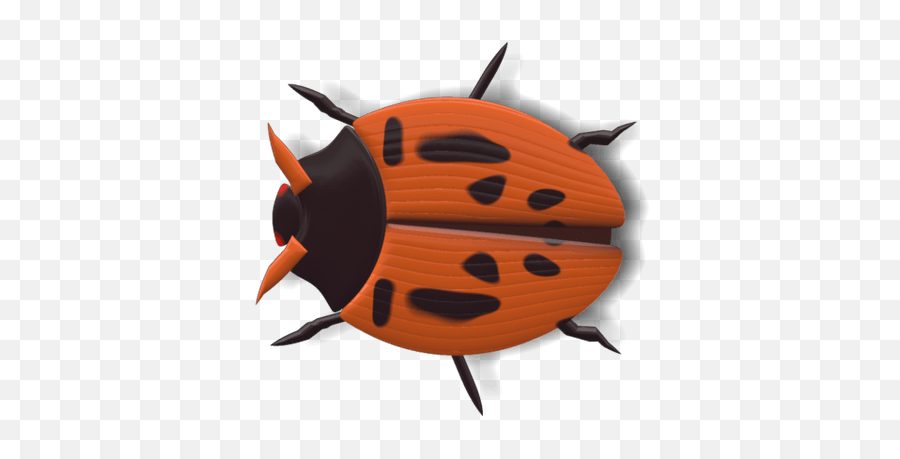 Ladybug Black And Red Transparent Png - Stickpng Ladybird Beetle,Transparent Ladybug