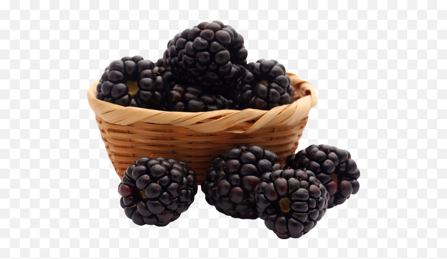 Blackberries In Basket - Photos By Canva Blackberry Png,Blackberries Png