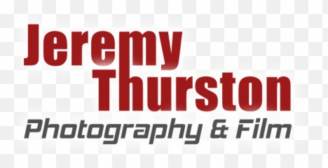 New Web Logo - Local First Png,Edward Elric Png