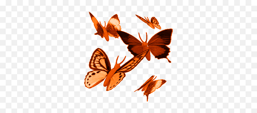 Tammy Lee Butterfly Gif Images Image Glitter - Animated Butterflies Png,Butterfly Gif Transparent