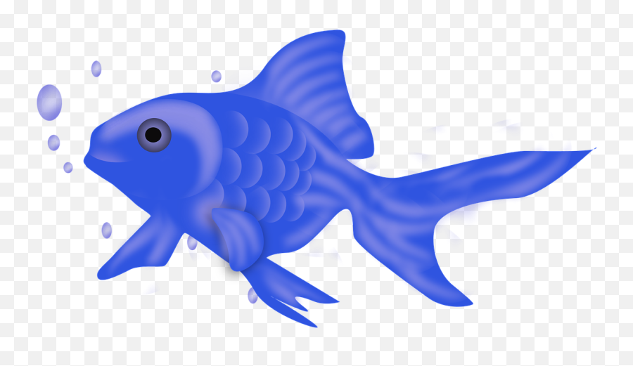 Fish Icon Blue - Goldfish Png,Fish Icon Png