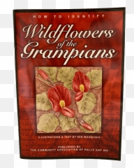 Wildflowers Of The Grampians - Book Cover Png,Wildflowers Png