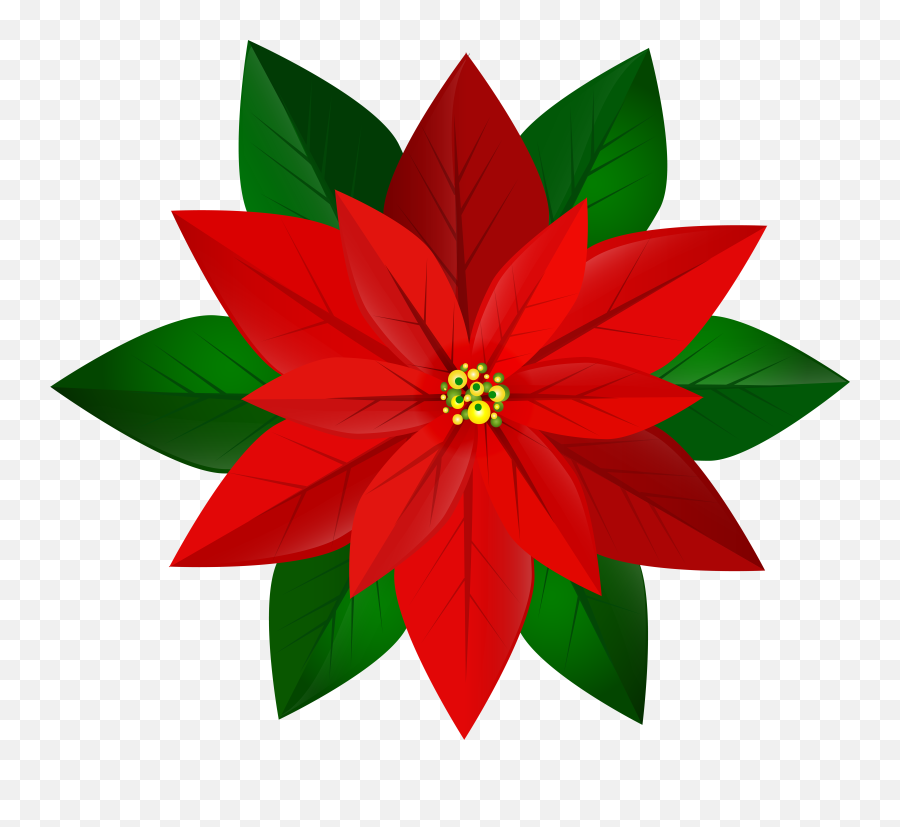 Poinsettia Christmas Clip Art Png Transparent Background