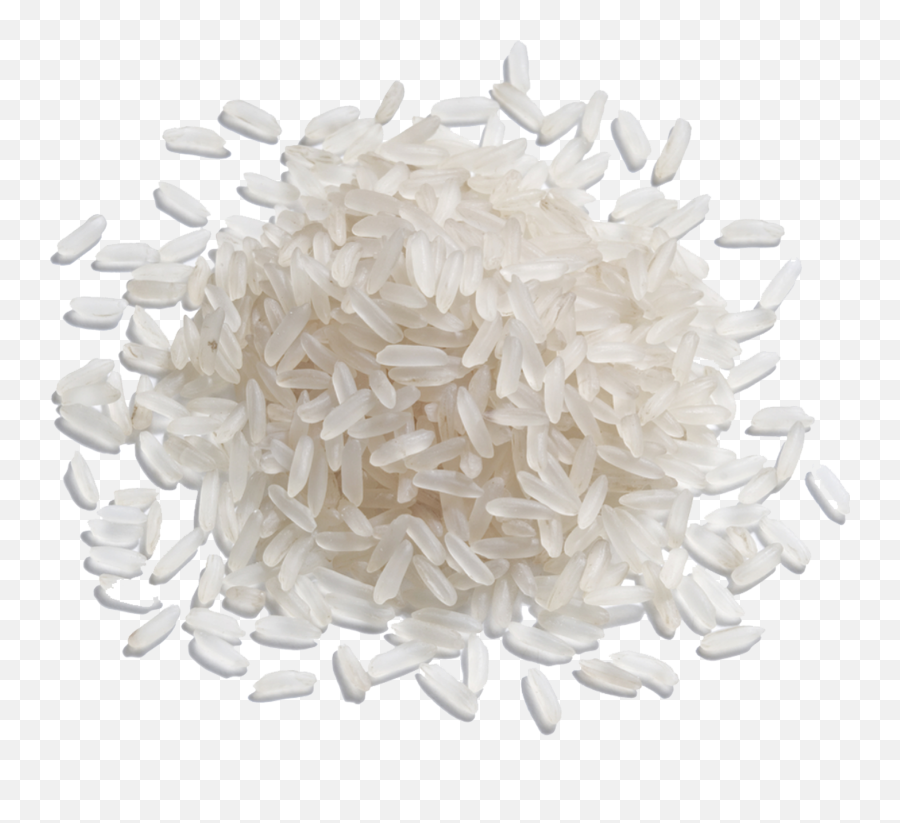 Rice - Grain Of Rice Png,Rice Transparent Background