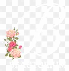 Shop U2014 Beautorium - Floral png