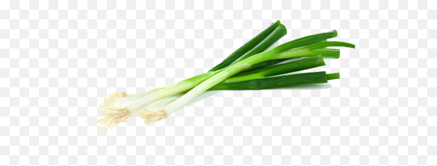 Green Onion Transparent Png - Green Onion Transparent Background,Onion Png