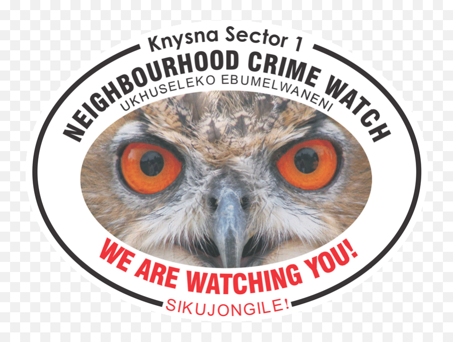 Owls Neighbourhood Watch Knysna Heights And Paradise - Owl With Big Eyes Png,Owl Eyes Logo