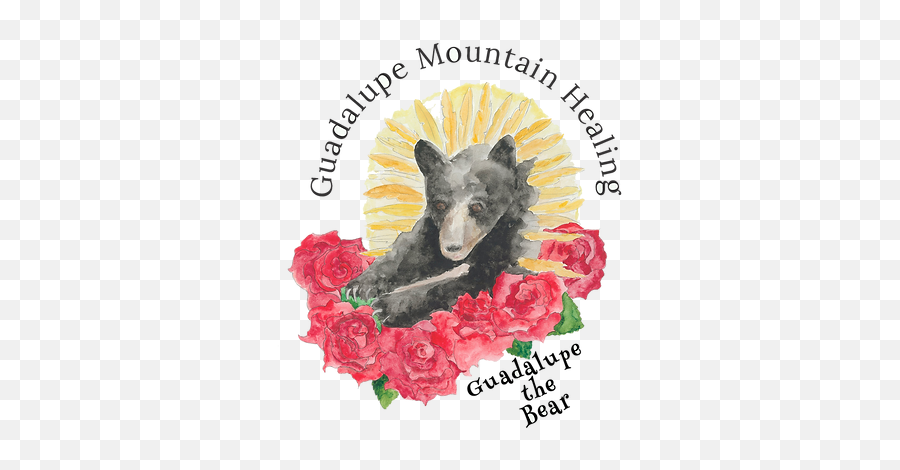 Blog Guadalupe Mountain Healing Najdamaria Png Icon
