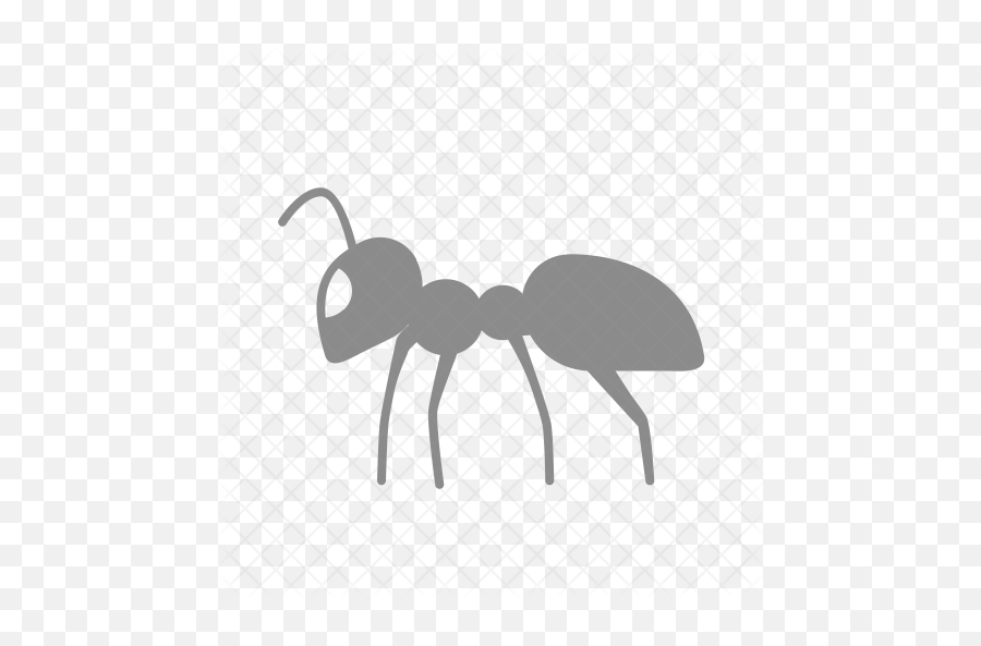 Available In Svg Png Eps Ai Icon Fonts - Ant,Ant Png