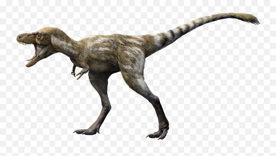 Baby T Rexes Were Covered In Peach Fuzz And The Size Of Png Tyrannosaurus Rex