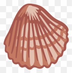 Transparent Png Svg Vector File - Illustration,Shell Png