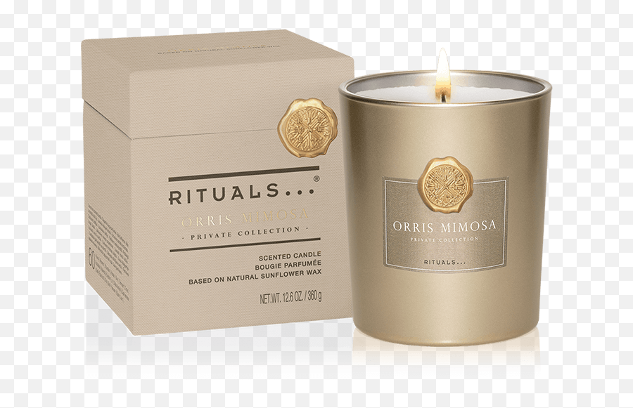 Orris Mimosa Scented Candle - Bougie Rituals Png,Mimosa Png