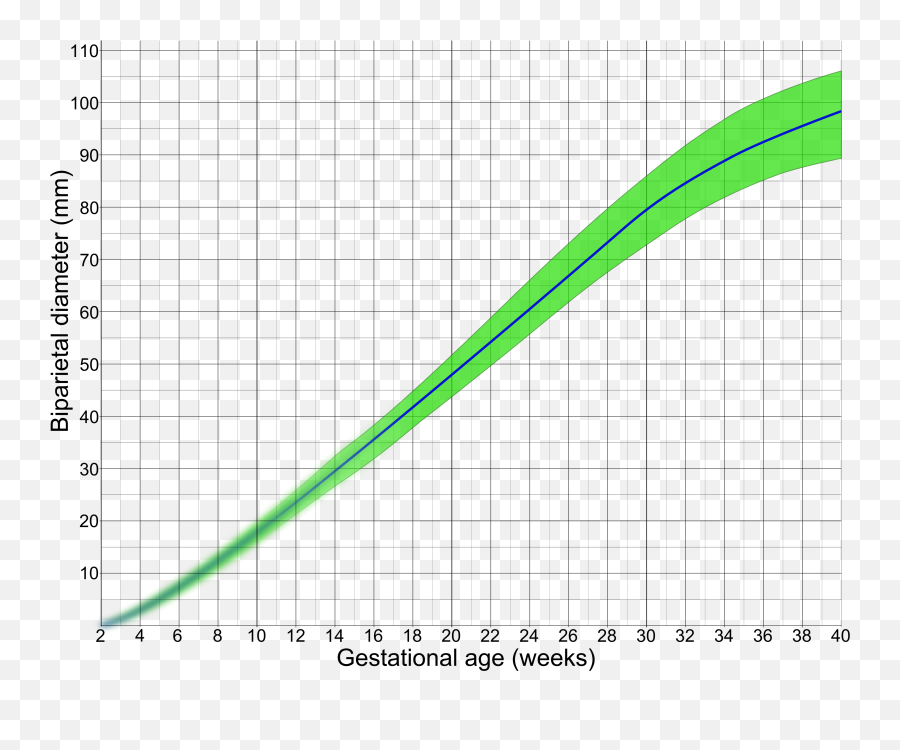 Filebiparietal Diameter By Gestational Agepng - Wikimedia Bpd And Gestational Age,Fetus Png