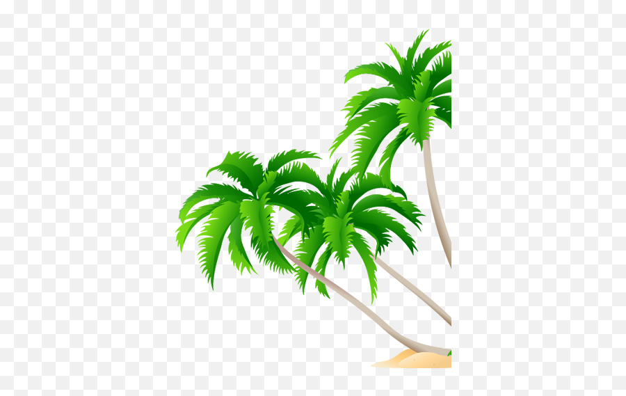 1800 Central Commerce Court - High Resolution Coconut Tree High Resolution Coconut Tree Png,Leaf Vector Png