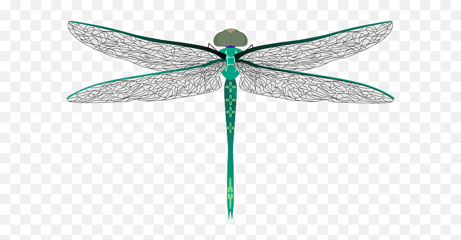 Dragonfly Transparent Png File - Darning Needle Bug,Dragonfly Transparent Background