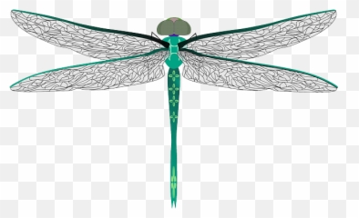 Dragonfly Transparent Png File - Darning Needle Bug,Dragonfly Transparent Background