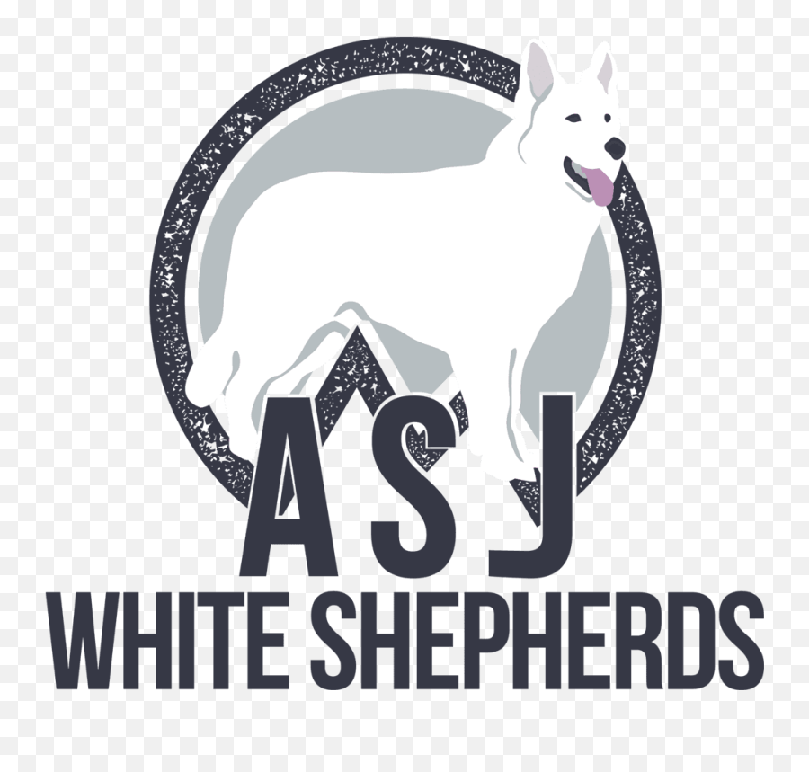 Asj White German Shepherds Shepherd Puppies In Png