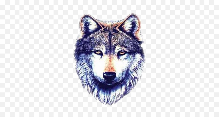 Latest Wolf Tattoo Designs White Images - 6342 Transparentpng Wolf Face Png Transparent,Wolf Head Png