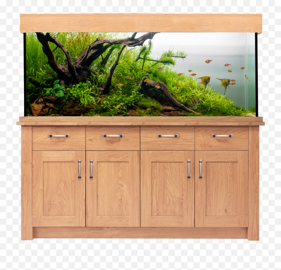 Aqua One Oakstyle Aquarium And Cabinet 300 Litres - Nature Aquarium With Driftwood Png,Fish Bowl Transparent Background