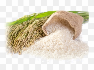 Buy Organic Rice Online - Organic Rice Png,Rice Png