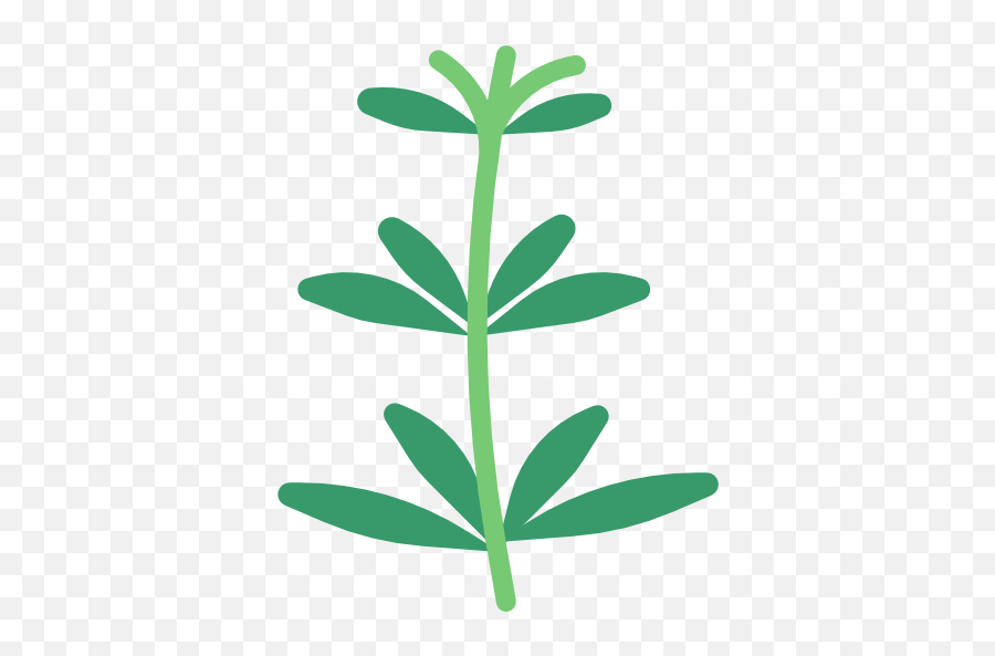 Herb - Svg Free Herb Icons Png,Herb Png