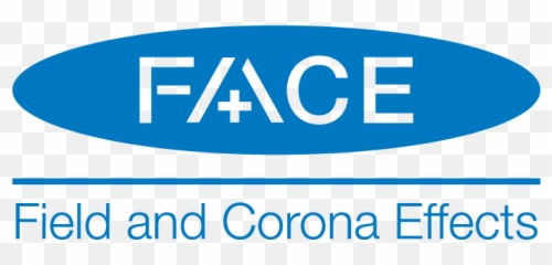 Face Manitoba Hydro International - Dokumentationszentrum Obersalzberg Png,Face Logo Png