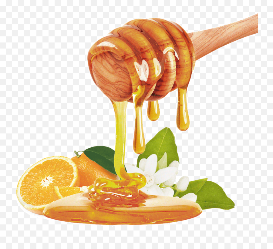 Honey Dripping Down - Free Apple And Honey Png,Honey Dripping Png