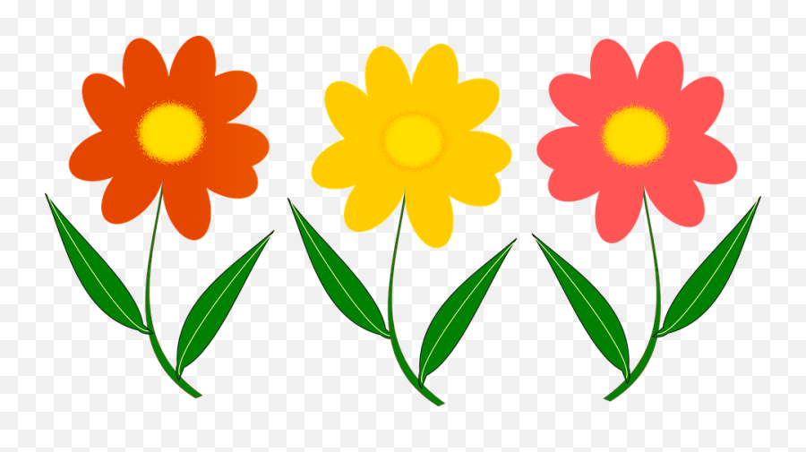 Three Colorful Flowers - One Simple Gallery Canvas Artwork Flor Desenho Vetor Png,Simple Flower Png