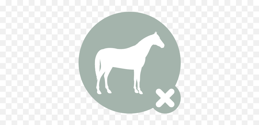 Horse - Iconx Hook Norton Veterinary Group Animal Figure Png,Horse Icon