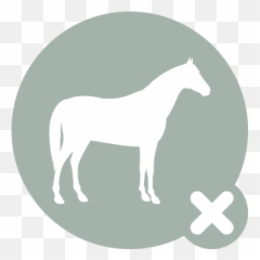 Horse - iconx Hook Norton Veterinary Group Animal Figure png