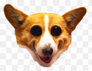 Mosaictemplate - Dog Head Transparent Background png