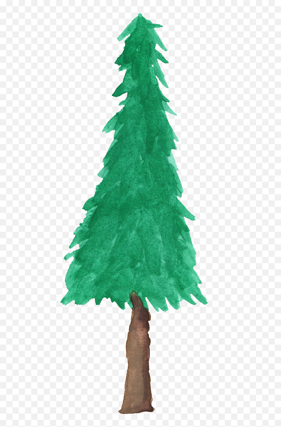 Watercolor Pine Tree - Pine Tree Watercolor Free Png,Pine Tree Transparent Background