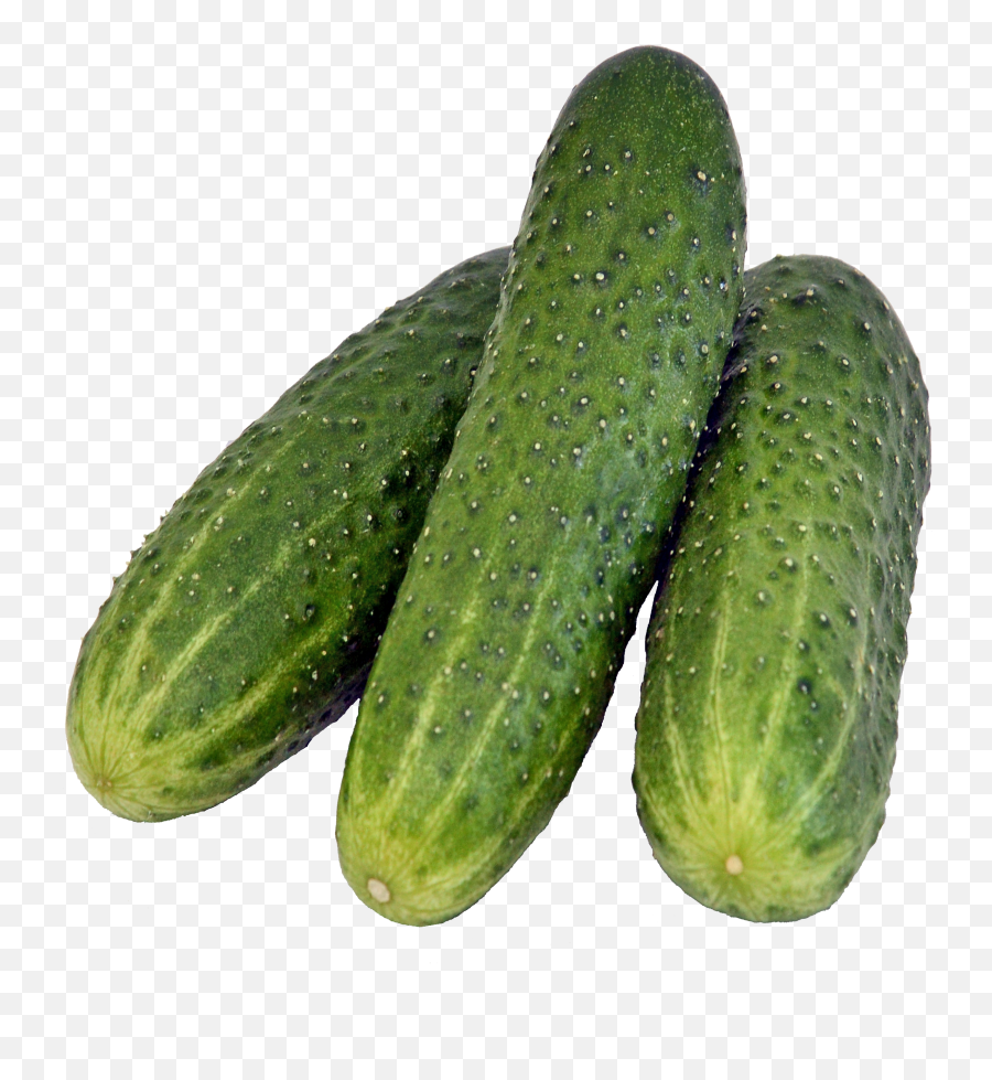 Cucumber Png - Gherkins Png,Gourd Png