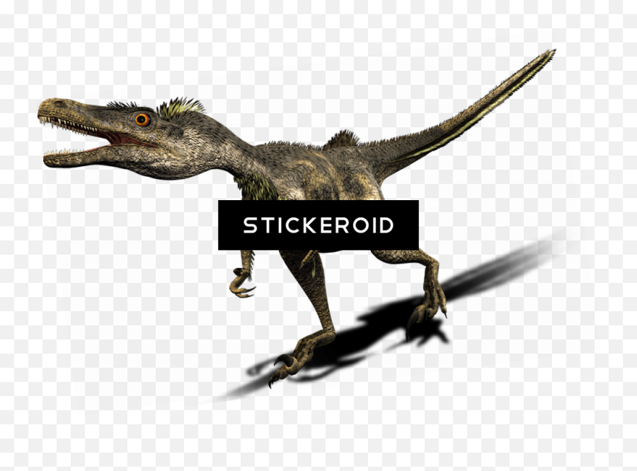 Velociraptor Transparent Png Image - Dinosaur,Velociraptor Png