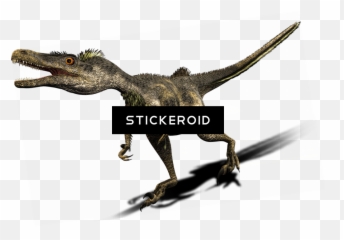 Velociraptor Transparent Png Image - Dinosaur,Velociraptor Png