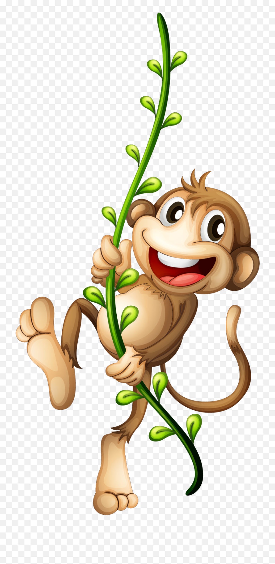 Monkey Clipart Png Image 04 - Monkey On A Vine 857x1762 Monkey Hanging On Vine,Vine Png