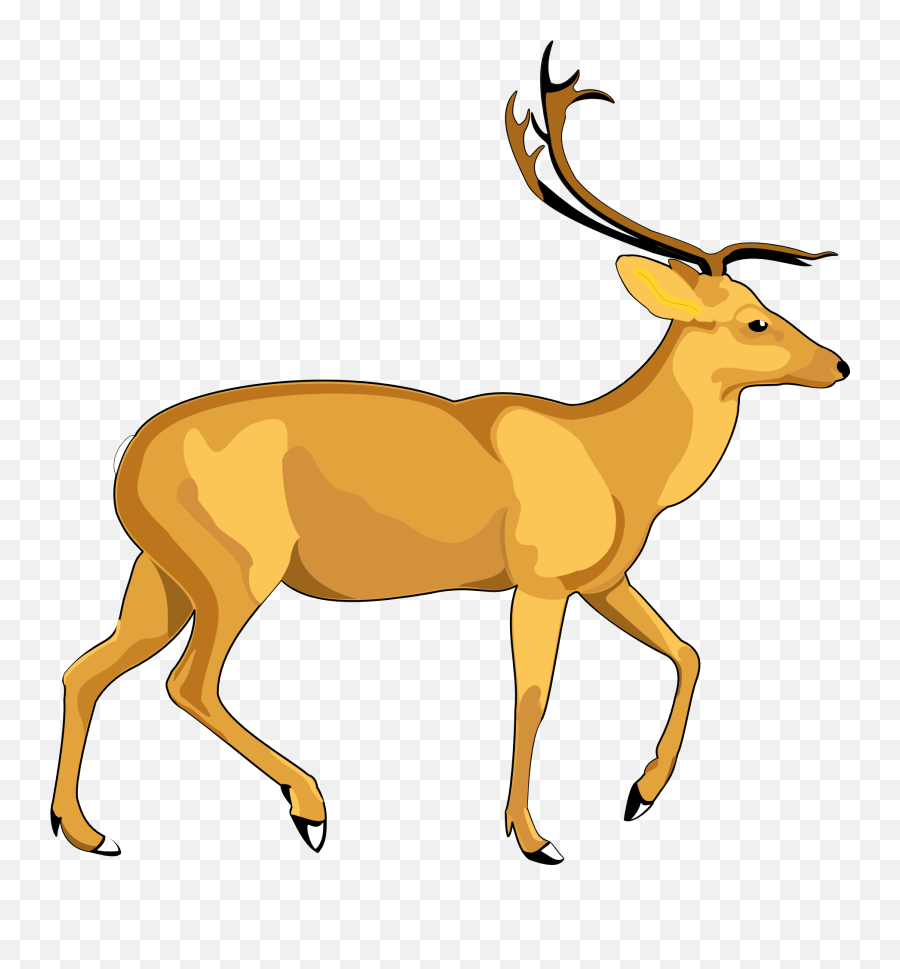 Download Deer Vector Png Image For Free - Deer Vector Png,Deer Png