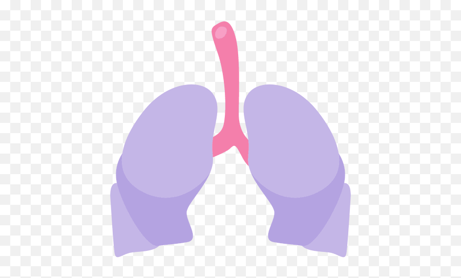 Lungs Human Organ - Transparent Png U0026 Svg Vector File Pulmao Roxo,Lungs Png