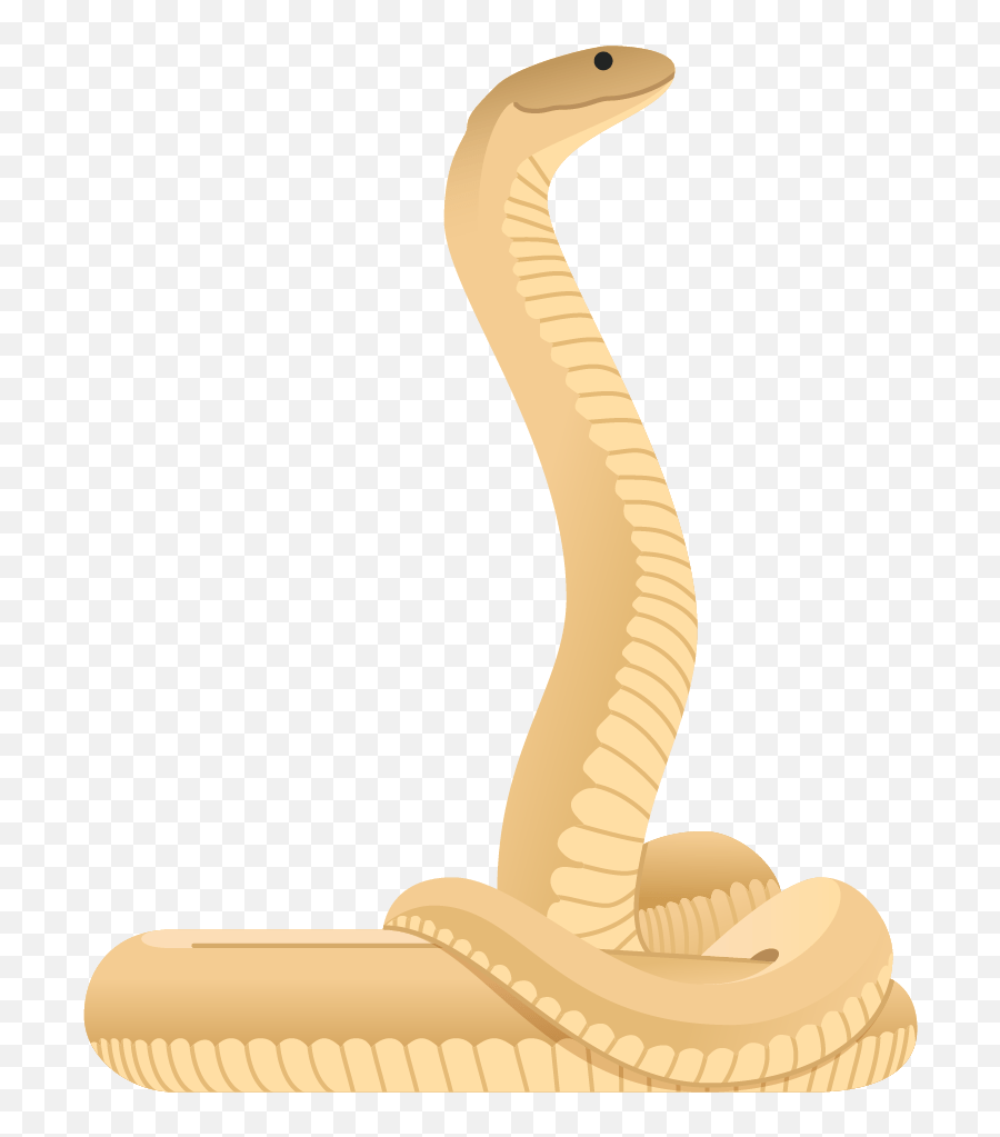 King Cobra Png - King Cobra,King Cobra Png