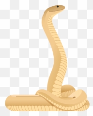 King Cobra Png