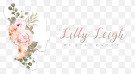 Lilly Leigh Photography Wedding U0026 Lifestyle Photographer Png