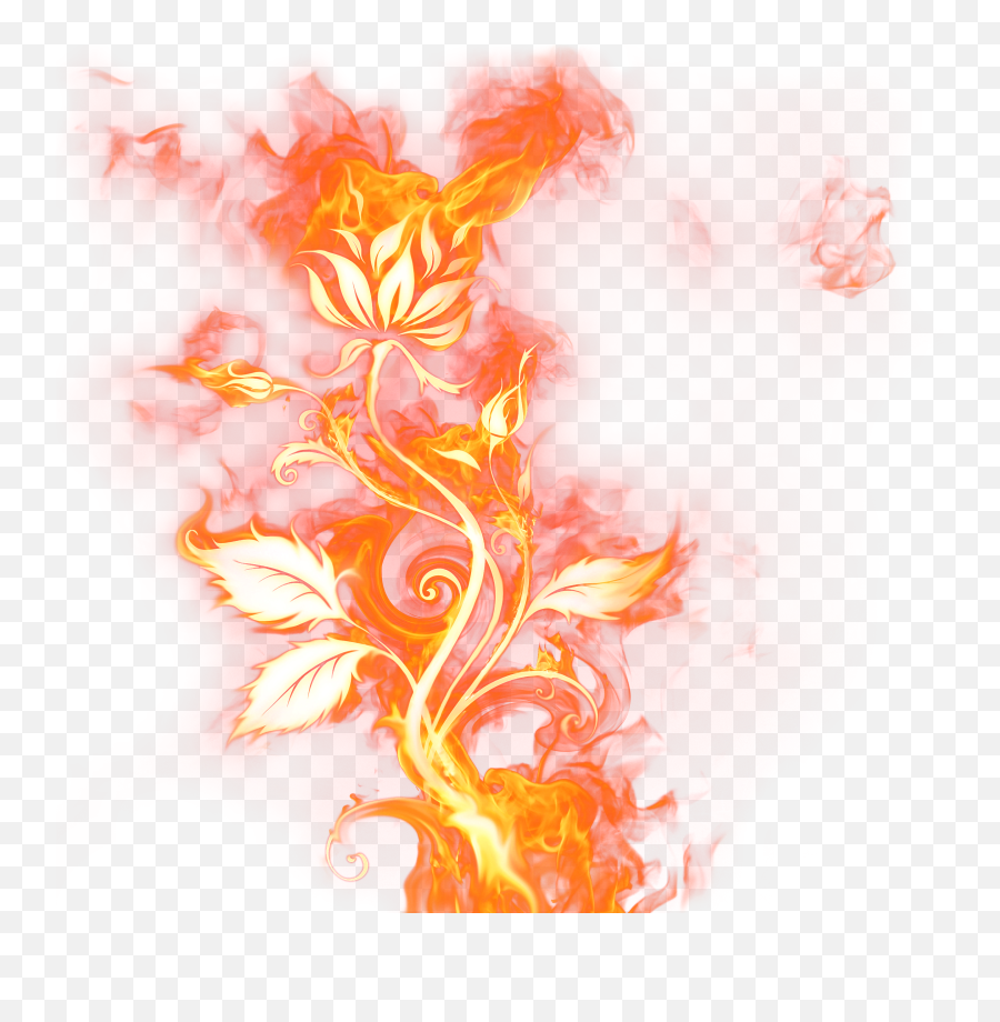 Qopo - Rose On Fire Png,Fire Sparks Png